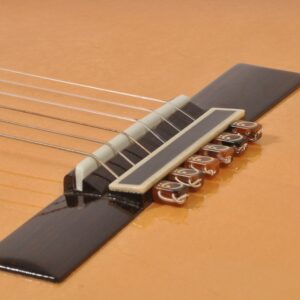 ST Guitarra Marron